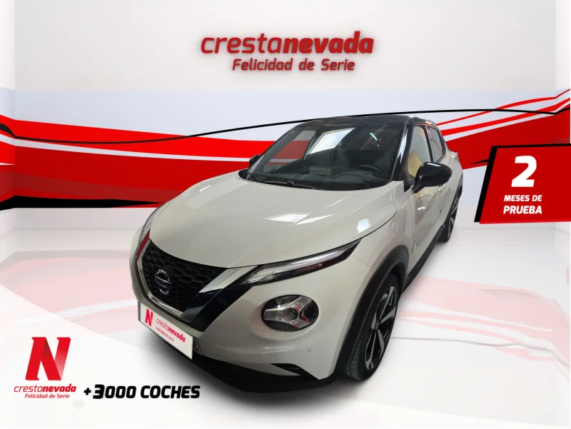 Imagen de NISSAN JUKE