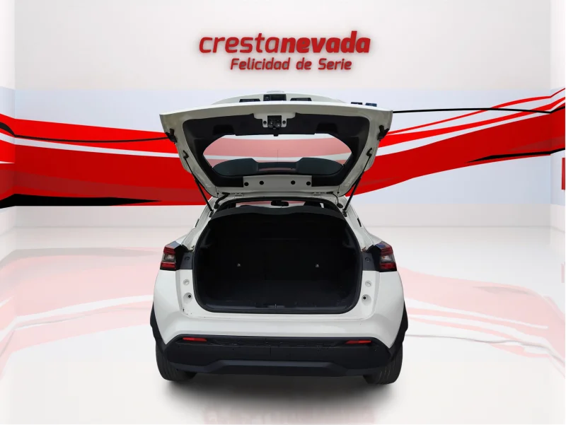 Imagen de NISSAN JUKE