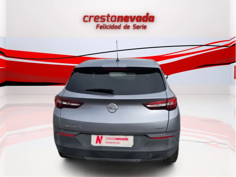 Imagen de Opel Grandland X