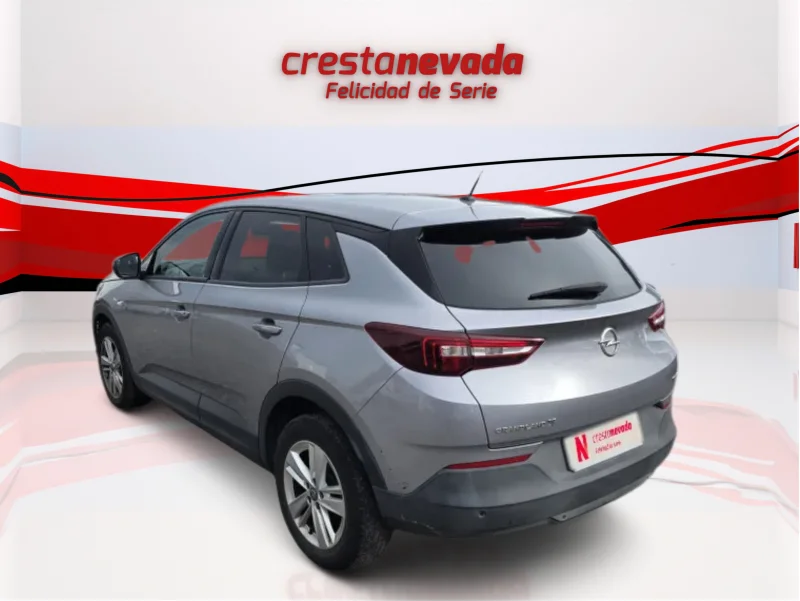 Imagen de Opel Grandland X