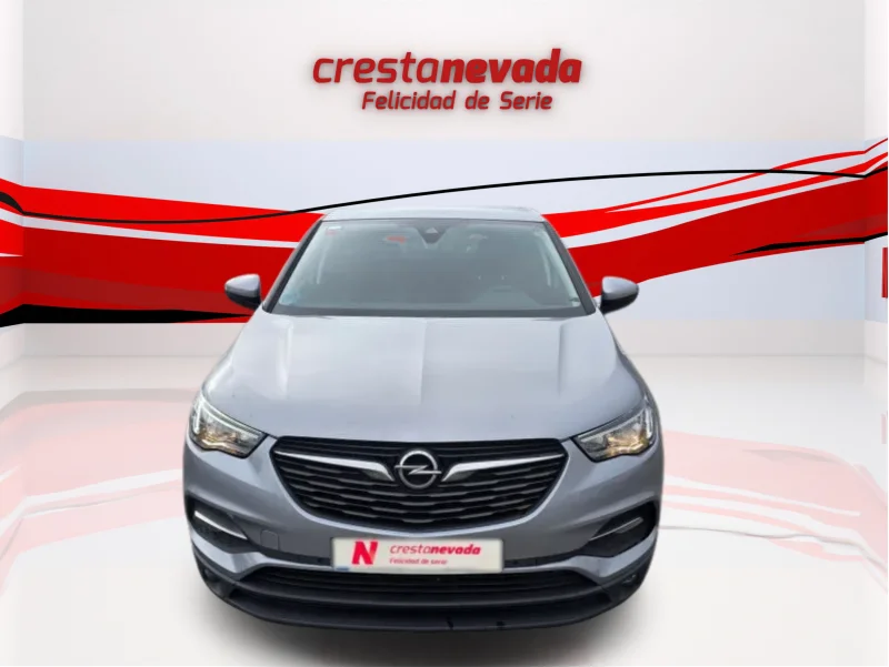 Imagen de Opel Grandland X