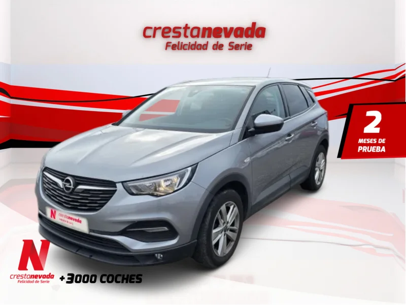 Imagen de Opel Grandland X