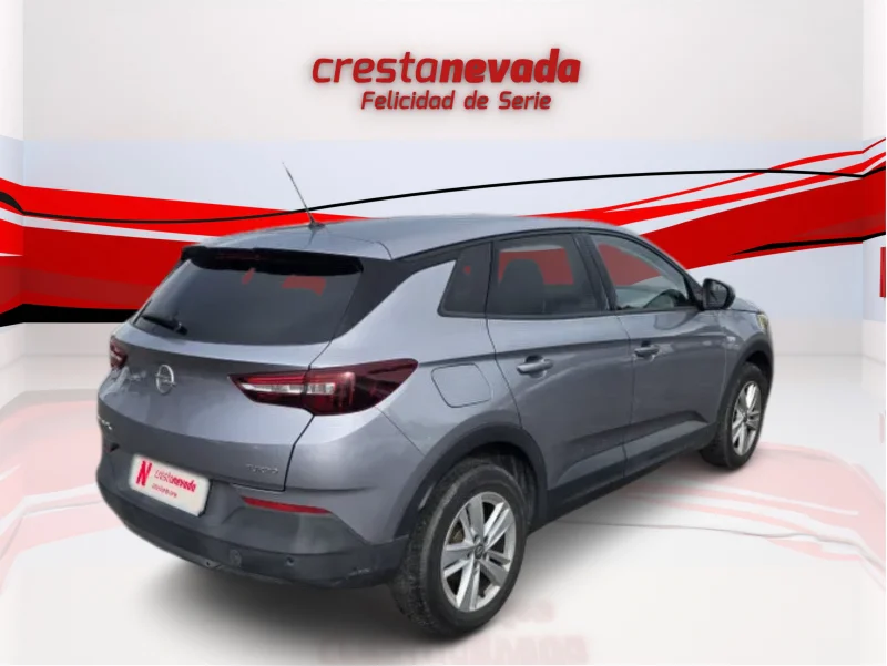 Imagen de Opel Grandland X