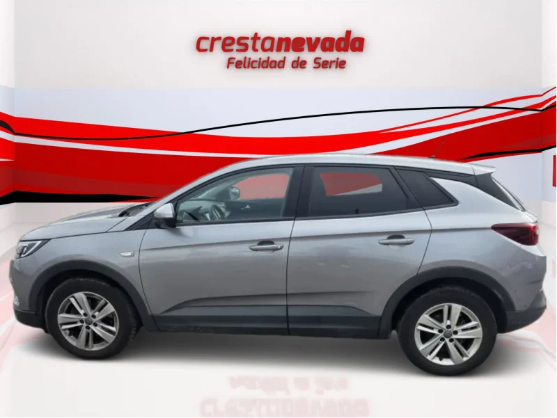 Imagen de Opel Grandland X