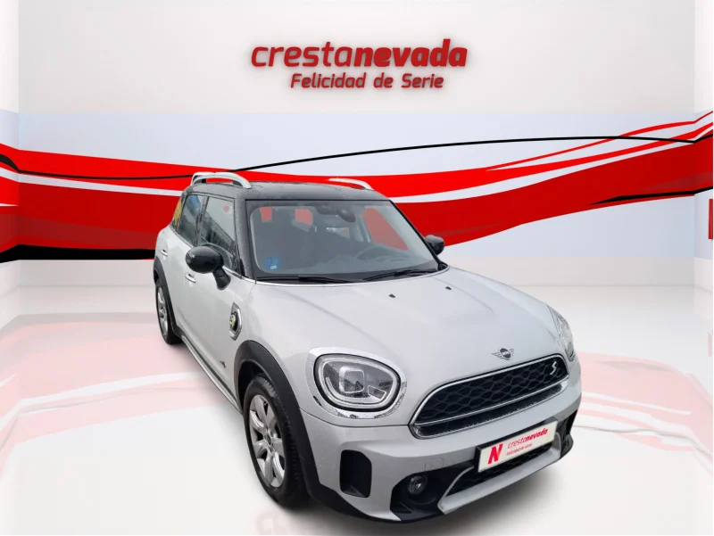 Imagen de Mini Countryman