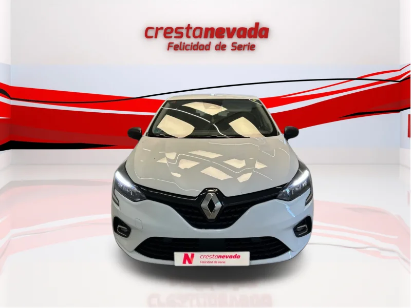 Imagen de Renault Clio
