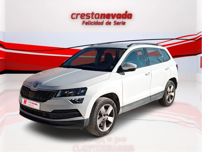 Imagen de Skoda Karoq