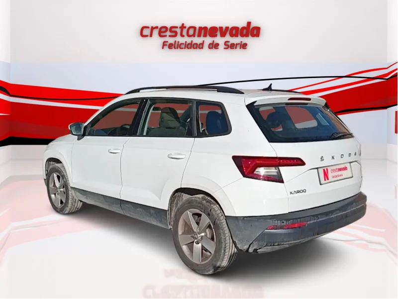 Imagen de Skoda Karoq
