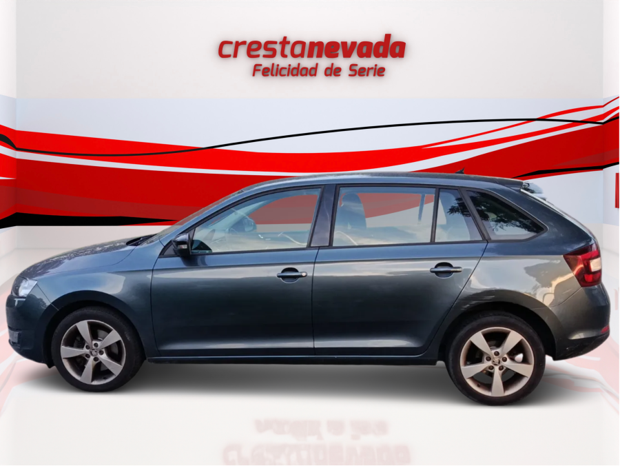 Imagen de Skoda Rapid