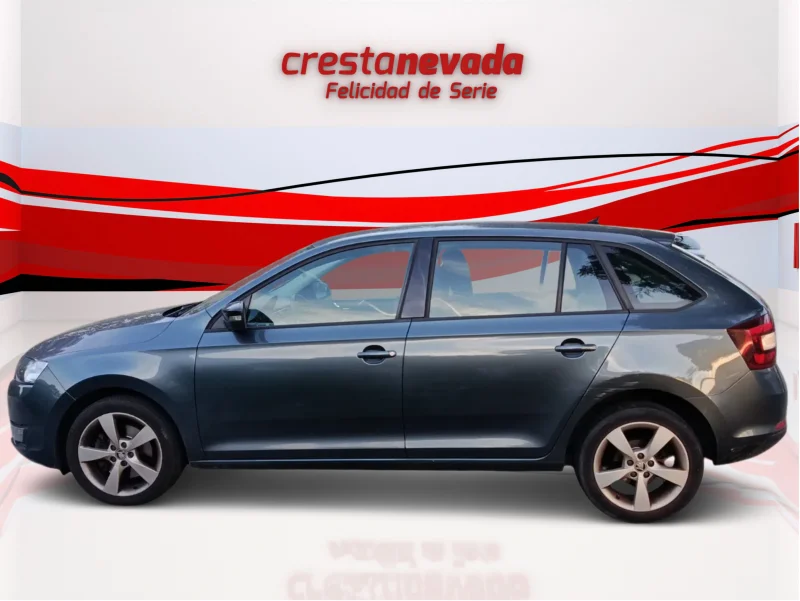 Imagen de Skoda Rapid