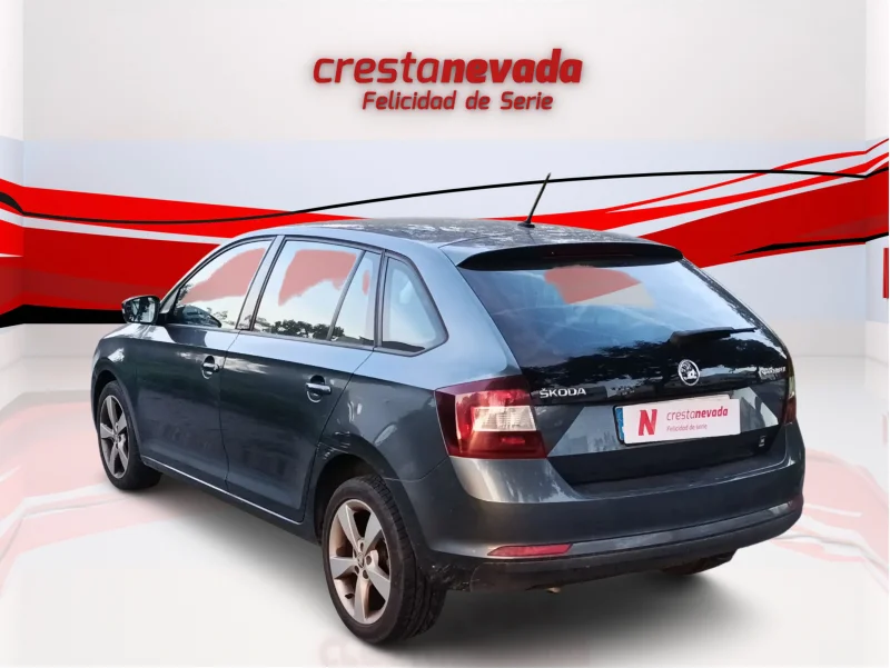 Imagen de Skoda Rapid