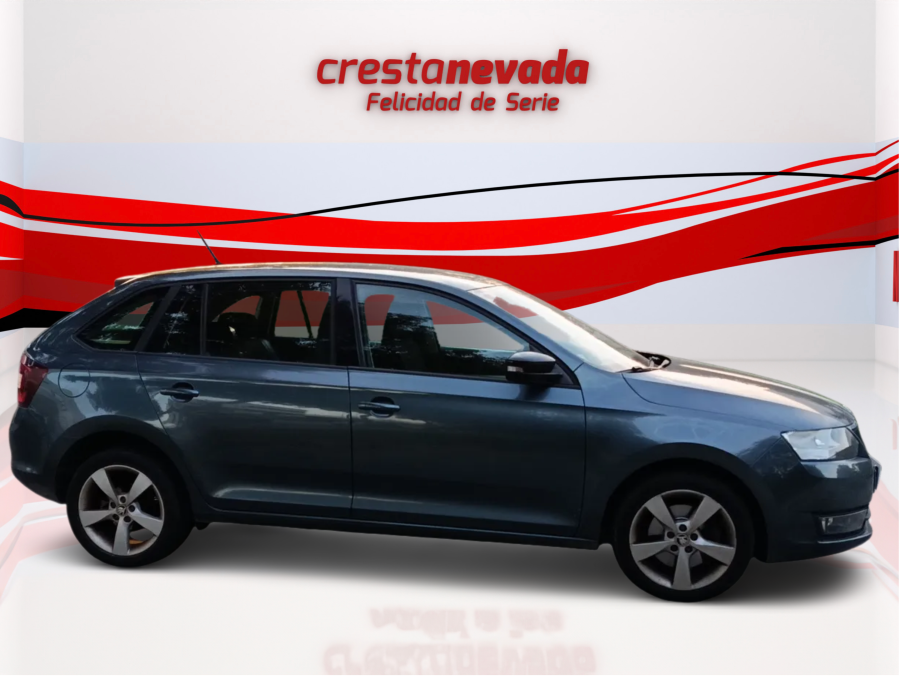 Imagen de Skoda Rapid