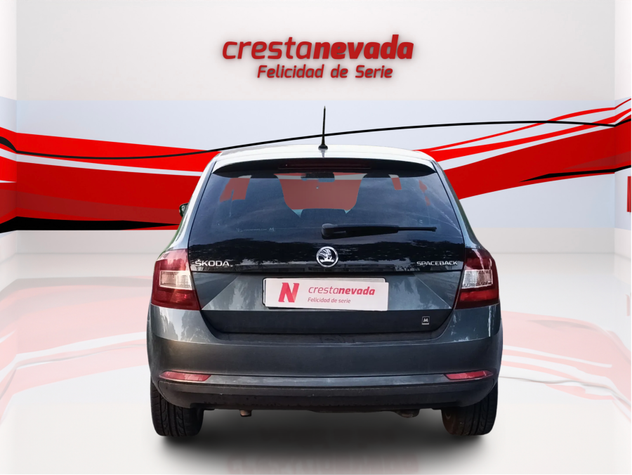 Imagen de Skoda Rapid