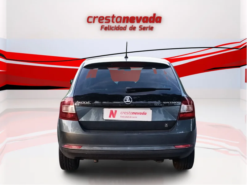 Imagen de Skoda Rapid