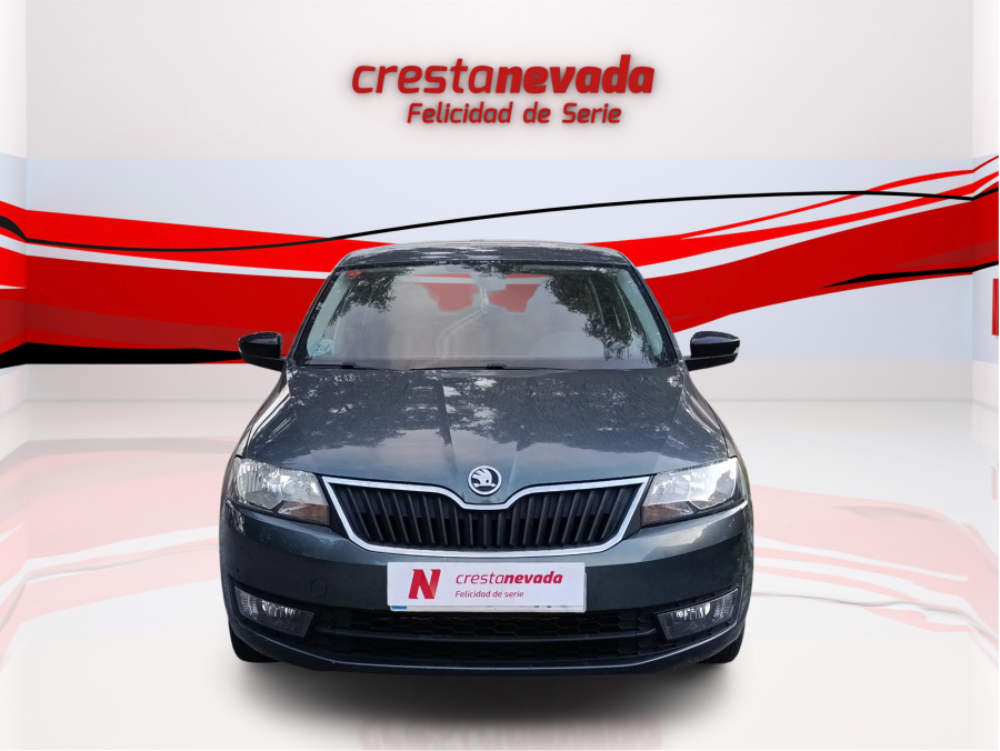 Imagen de Skoda Rapid