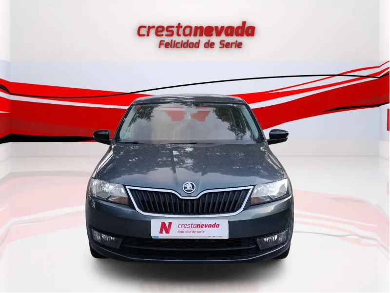 Imagen de Skoda Rapid