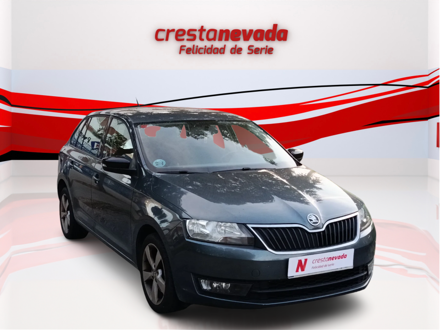Imagen de Skoda Rapid