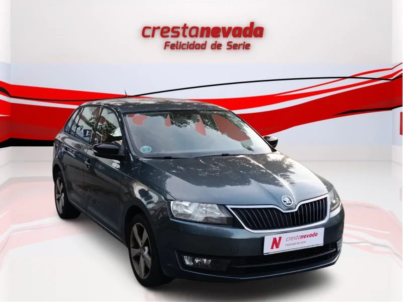 Imagen de Skoda Rapid