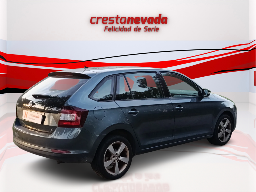 Imagen de Skoda Rapid
