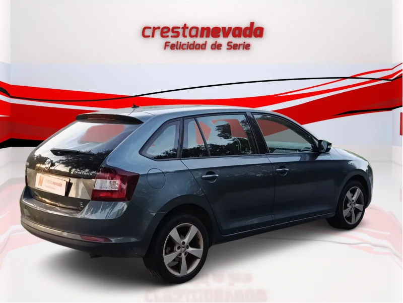 Imagen de Skoda Rapid