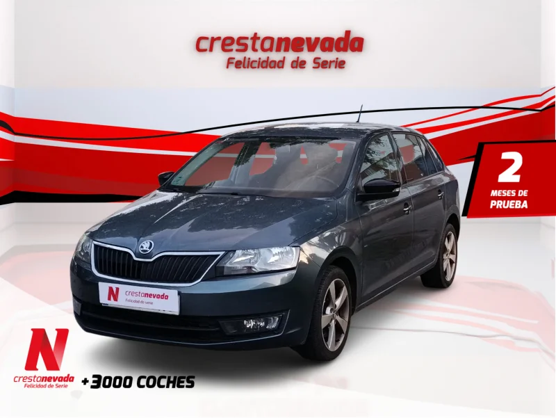 Imagen de Skoda Rapid