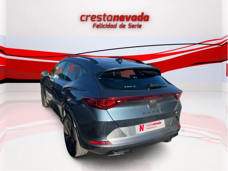 Imagen de cupra Formentor