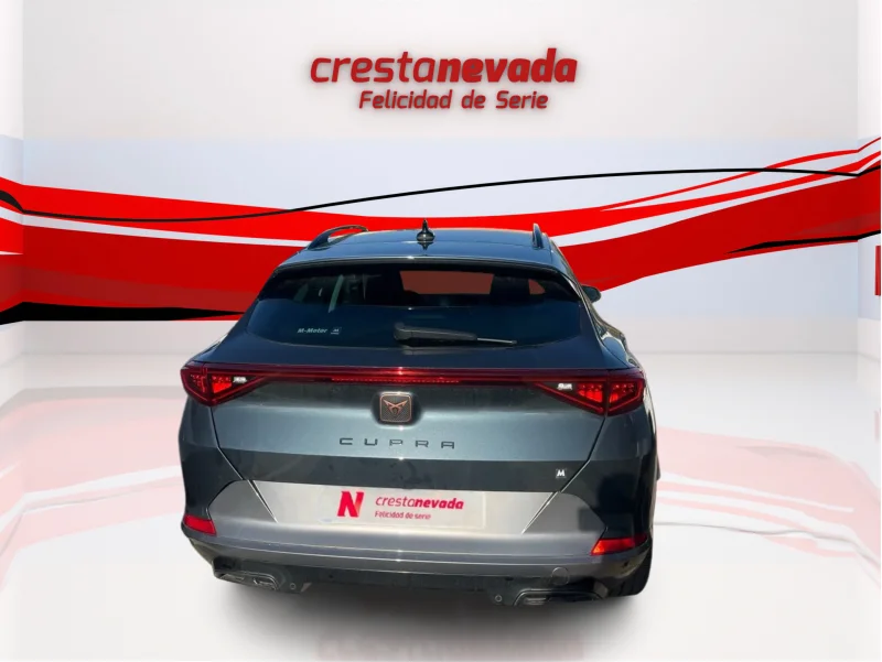 Imagen de cupra Formentor