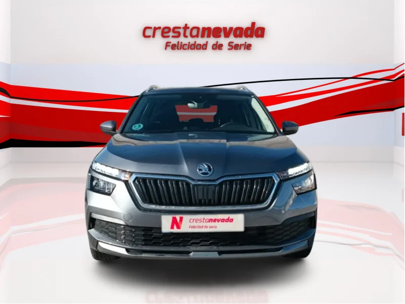 Imagen de Skoda Kamiq