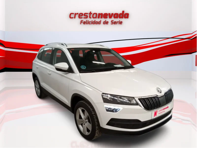 Imagen de Skoda Karoq