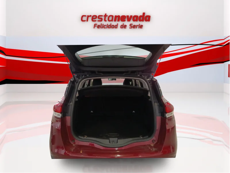 Imagen de Renault Scénic