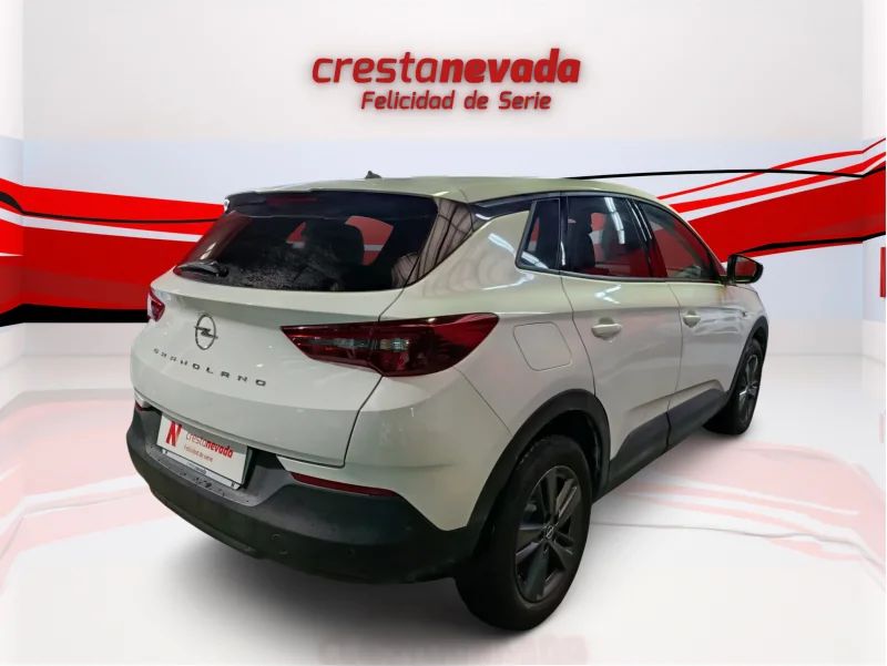 Imagen de Opel Grandland