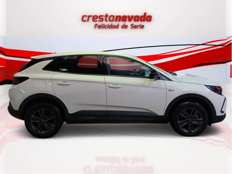 Imagen de Opel Grandland