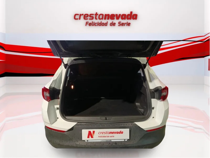 Imagen de Opel Grandland