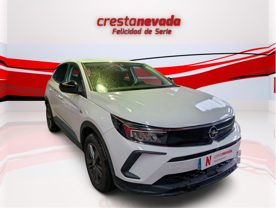 Imagen de Opel Grandland