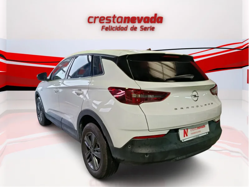 Imagen de Opel Grandland