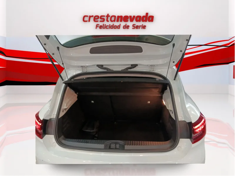 Imagen de Renault Clio