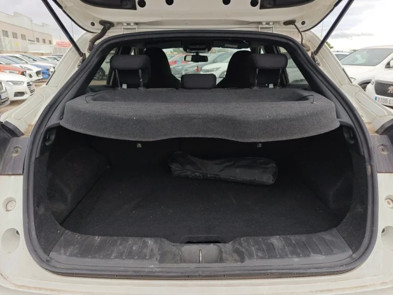 Imagen de NISSAN JUKE