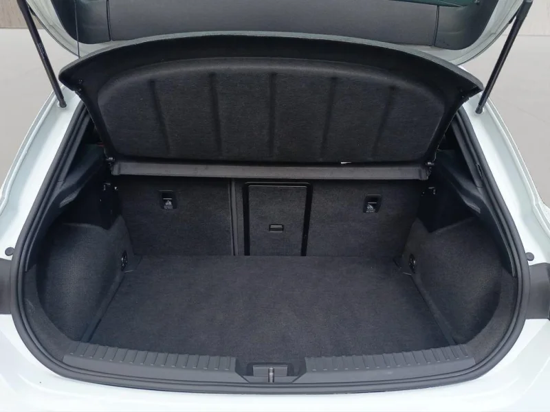 Imagen de cupra León