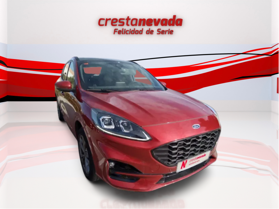 Imagen de Ford Kuga