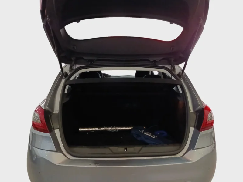 Imagen de Peugeot 308