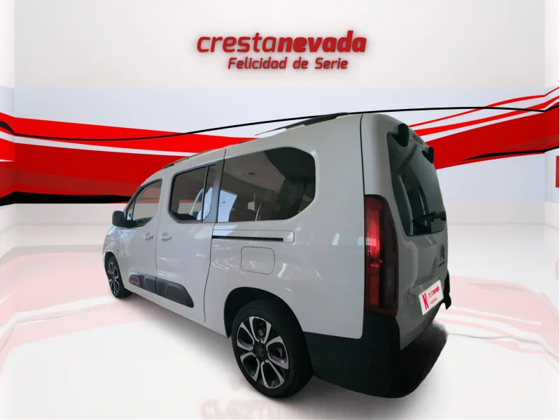 Imagen de CITROEN Berlingo
