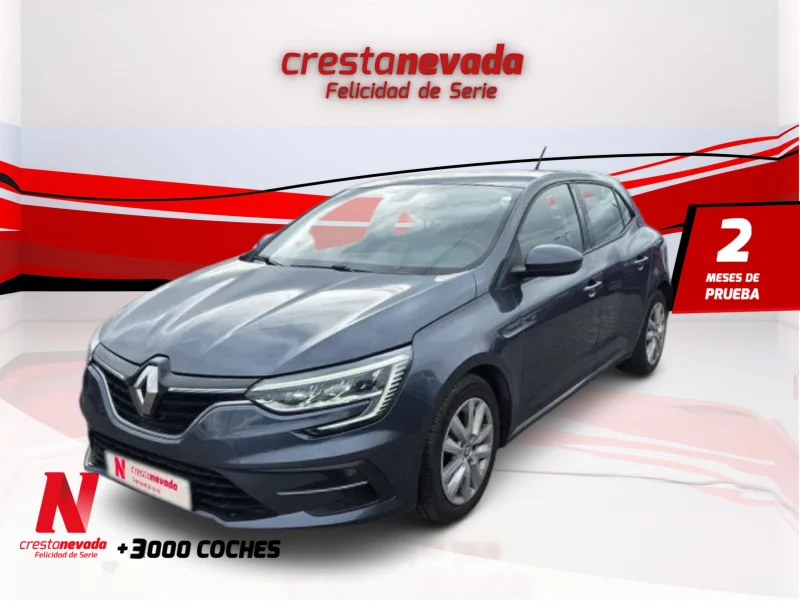 Imagen de Renault Mégane