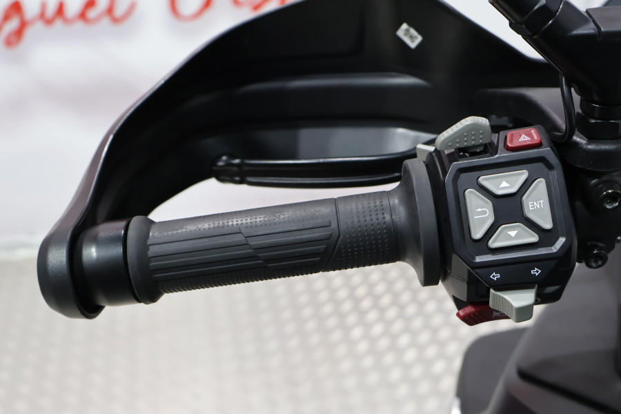 Imagen 8 de VOGE 900 DSX Gasolina 95 CV