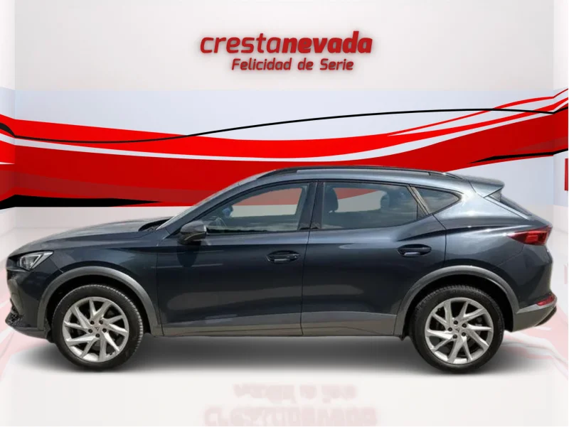 Imagen de cupra Formentor