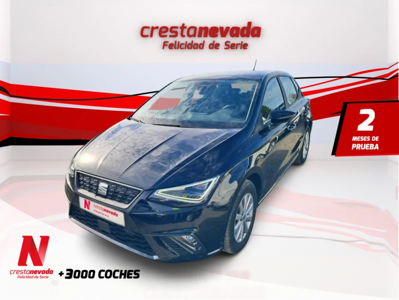 Imagen de SEAT Ibiza