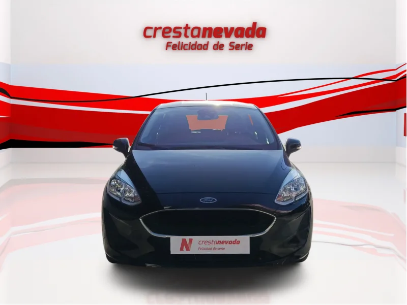 Imagen de Ford Fiesta