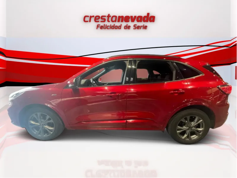 Imagen de Ford Kuga