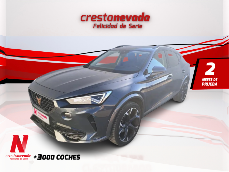 Imagen de cupra Formentor