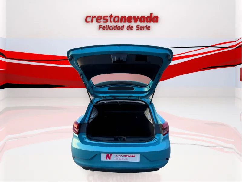 Imagen de Renault Clio