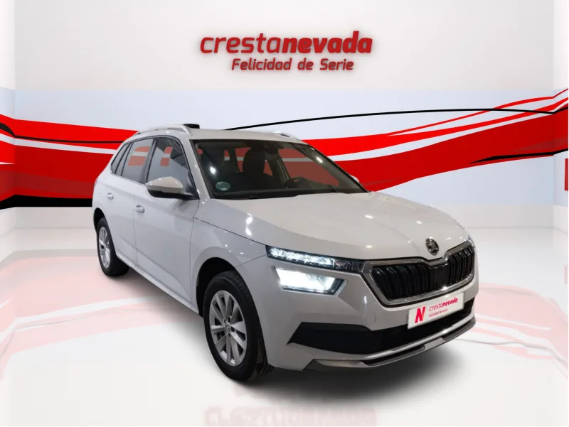 Imagen de Skoda Kamiq